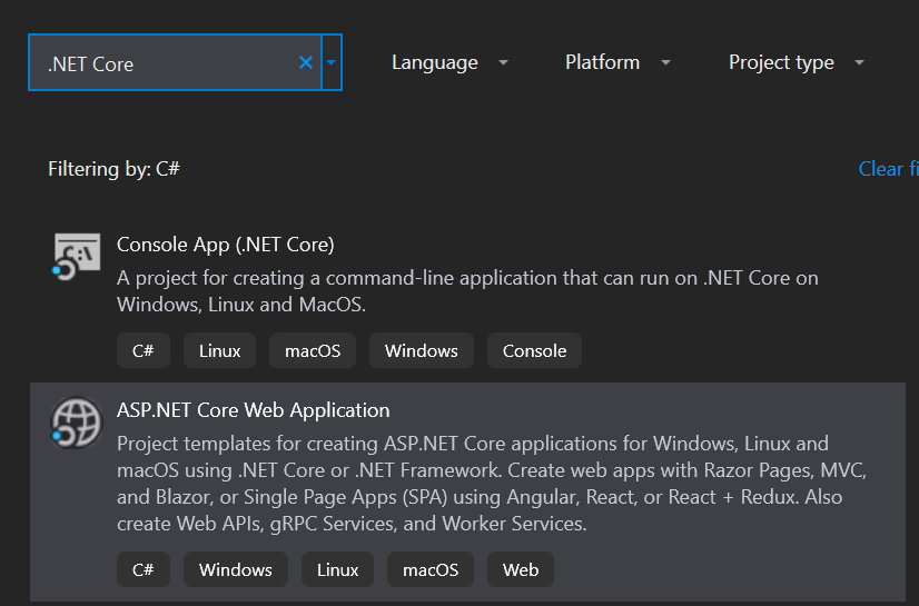 Visual Studio Project Window Screenshot