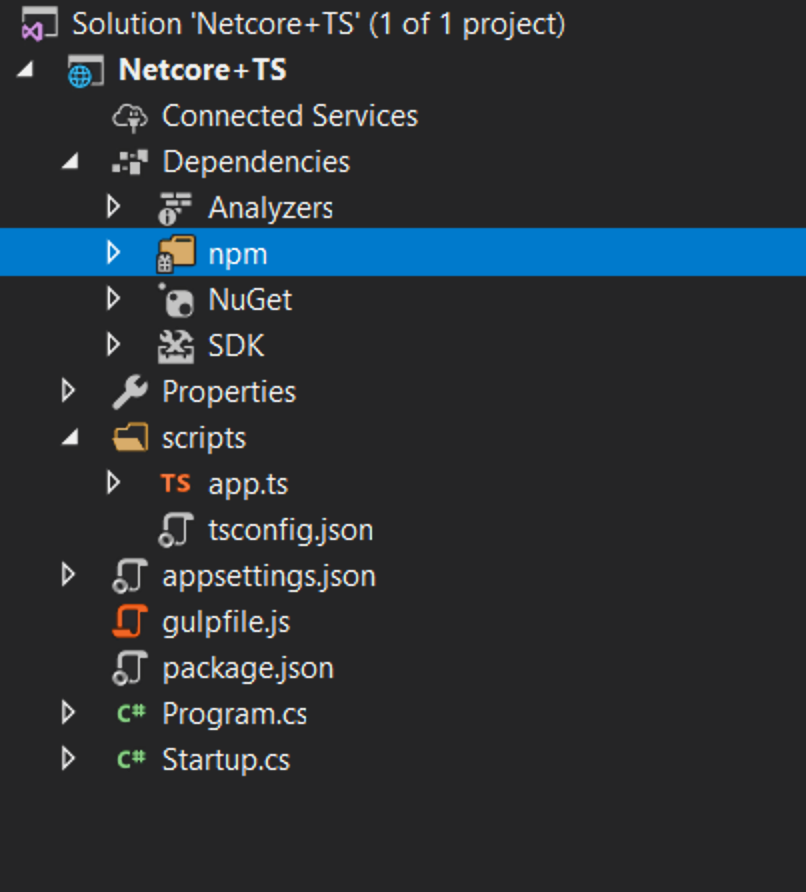 Screenshot of VS showing npm folder